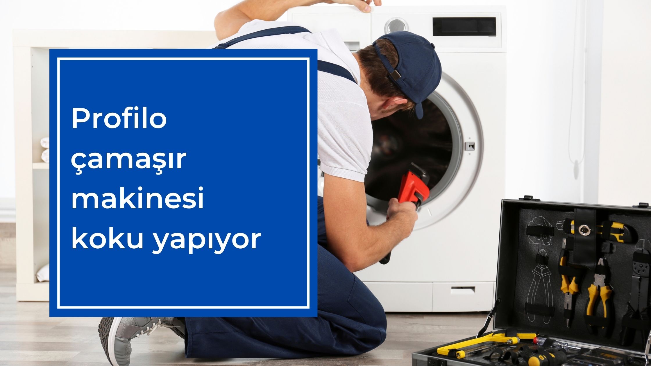 Profilo Çamaşır Makinesi Koku Yapıyor